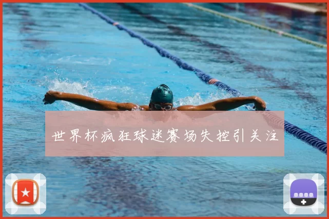 世界杯疯狂球迷赛场失控引关注