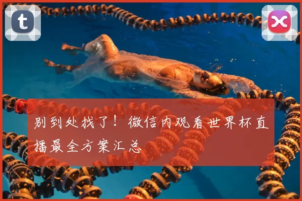 别到处找了！微信内观看世界杯直播最全方案汇总