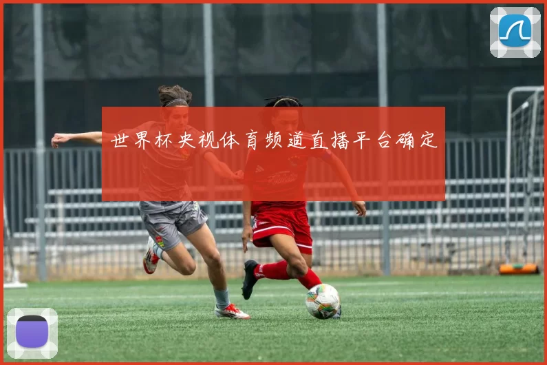 世界杯央视体育频道直播平台确定