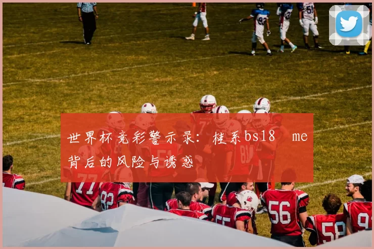 世界杯竞彩警示录：桂系bs18婰me背后的风险与诱惑