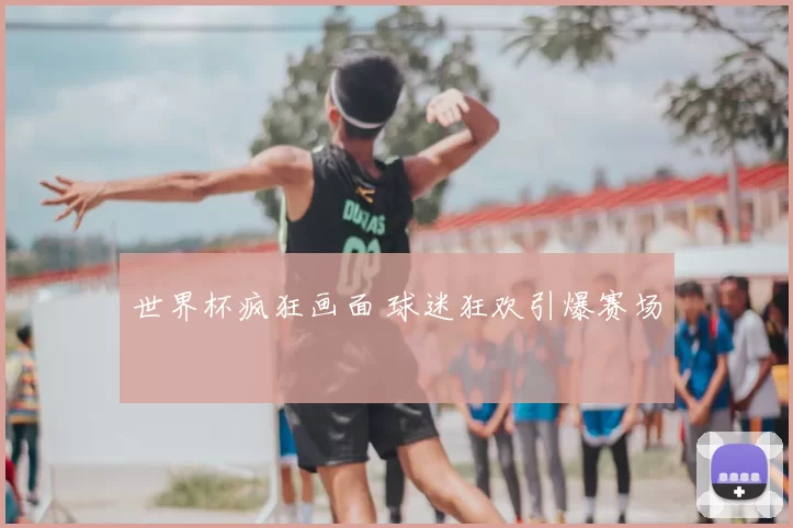世界杯疯狂画面 球迷狂欢引爆赛场