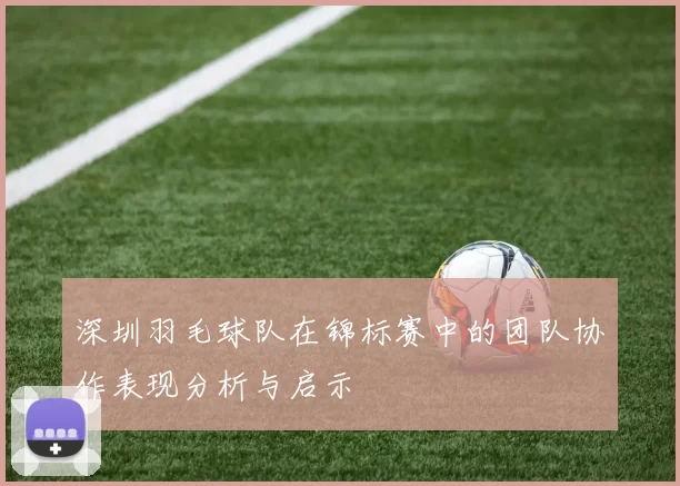 深圳羽毛球队在锦标赛中的团队协作表现分析与启示