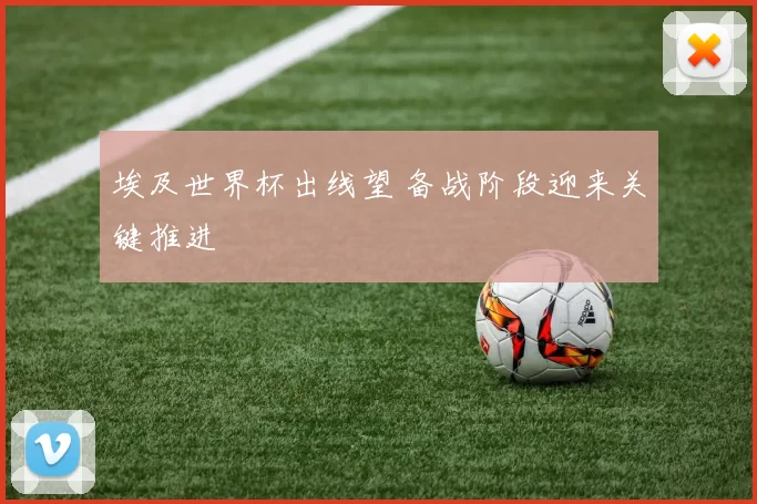 埃及世界杯出线望 备战阶段迎来关键推进