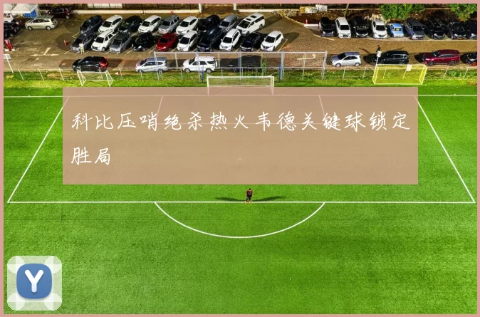 科比压哨绝杀热火韦德关键球锁定胜局