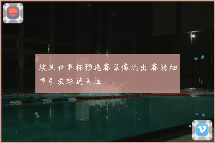 埃及世界杯预选赛录像流出 赛场细节引发球迷关注