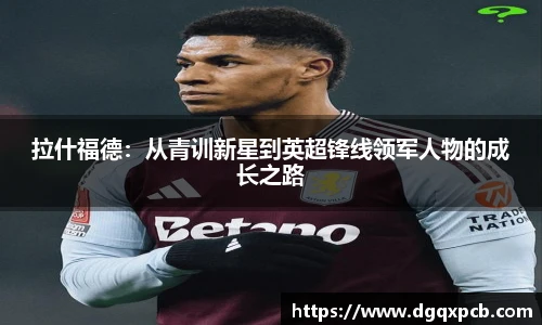 完美体育登录入口